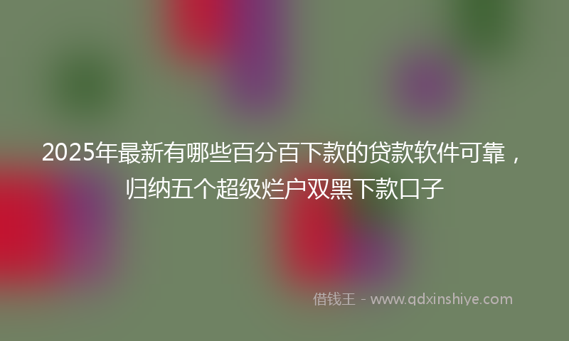 2025年最新有哪些百分百下款的贷款软件可靠，归纳五个超级烂户双黑下款口子