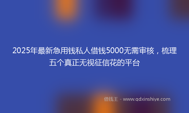 2025年最新急用钱私人借钱5000无需审核，梳理五个真正无视征信花的平台