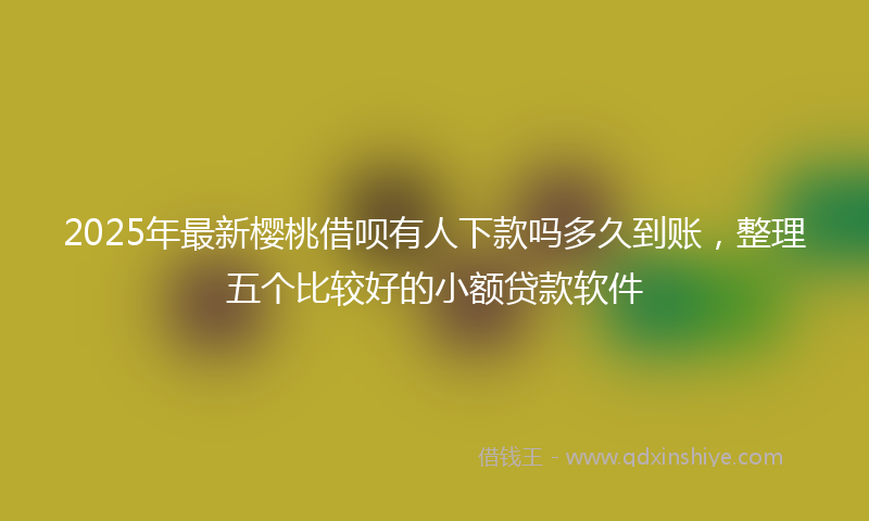 2025年最新樱桃借呗有人下款吗多久到账，整理五个比较好的小额贷款软件
