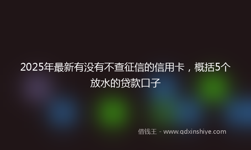 2025年最新有没有不查征信的信用卡，概括5个放水的贷款口子