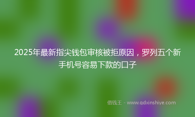 2025年最新指尖钱包审核被拒原因，罗列五个新手机号容易下款的口子