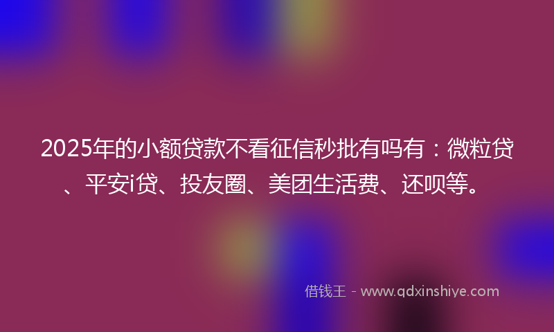 2025年的小额贷款不看征信秒批有吗有：微粒贷、平安i贷、投友圈、美团生活费、还呗等。