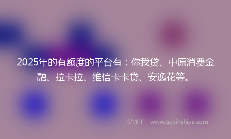 2025年的有额度的平台有：你我贷、中原消费金融、拉卡拉、维信卡卡贷、安逸花等。