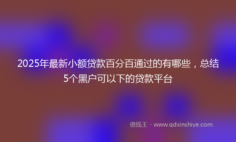 2025年最新小额贷款百分百通过的有哪些，总结5个黑户可以下的贷款平台