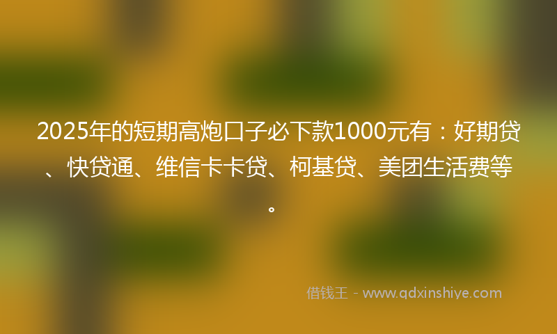 2025年的短期高炮口子必下款1000元有：好期贷、快贷通、维信卡卡贷、柯基贷、美团生活费等。
