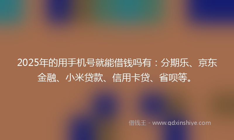 2025年的用手机号就能借钱吗有：分期乐、京东金融、小米贷款、信用卡贷、省呗等。