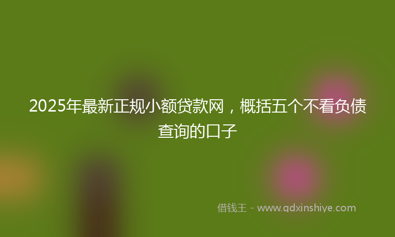 2025年最新正规小额贷款网，概括五个不看负债查询的口子