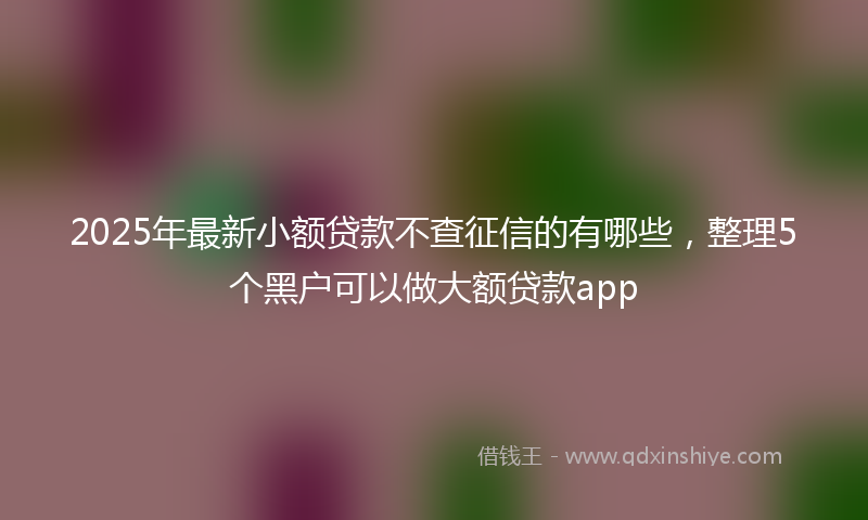 2025年最新小额贷款不查征信的有哪些，整理5个黑户可以做大额贷款app