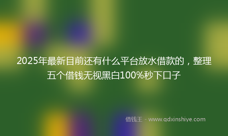 2025年最新目前还有什么平台放水借款的，整理五个借钱无视黑白100%秒下口子