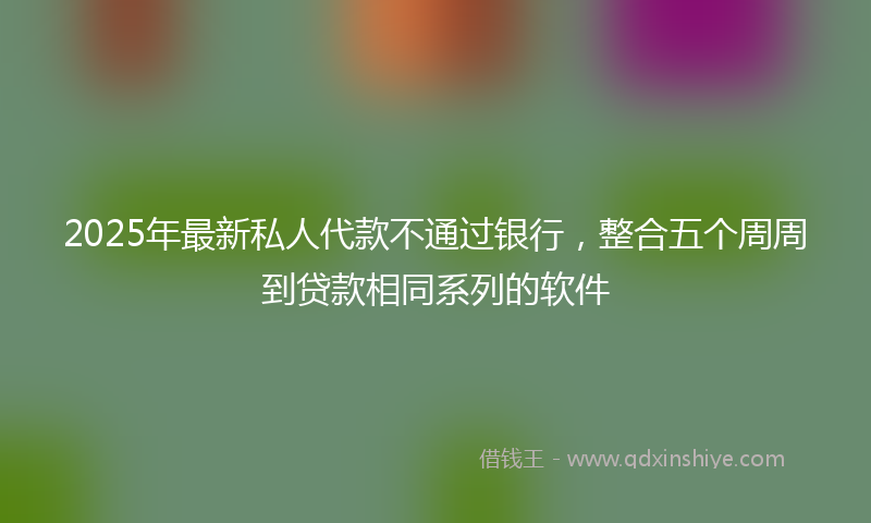 2025年最新私人代款不通过银行，整合五个周周到贷款相同系列的软件