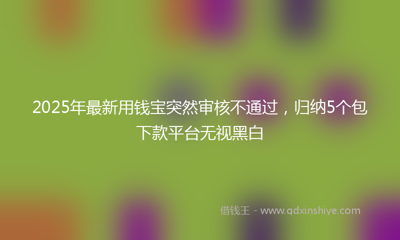 2025年最新用钱宝突然审核不通过，归纳5个包下款平台无视黑白