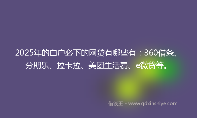 2025年的白户必下的网贷有哪些有：360借条、分期乐、拉卡拉、美团生活费、e微贷等。