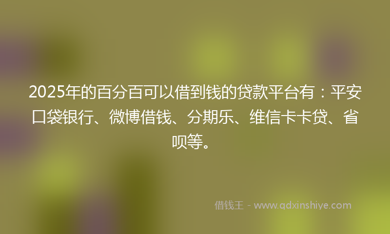 2025年的百分百可以借到钱的贷款平台有：平安口袋银行、微博借钱、分期乐、维信卡卡贷、省呗等。