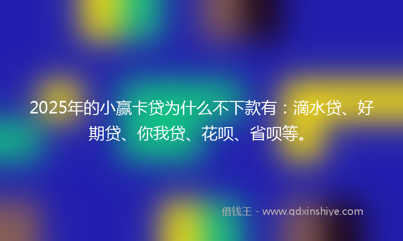 2025年的小赢卡贷为什么不下款有：滴水贷、好期贷、你我贷、花呗、省呗等。