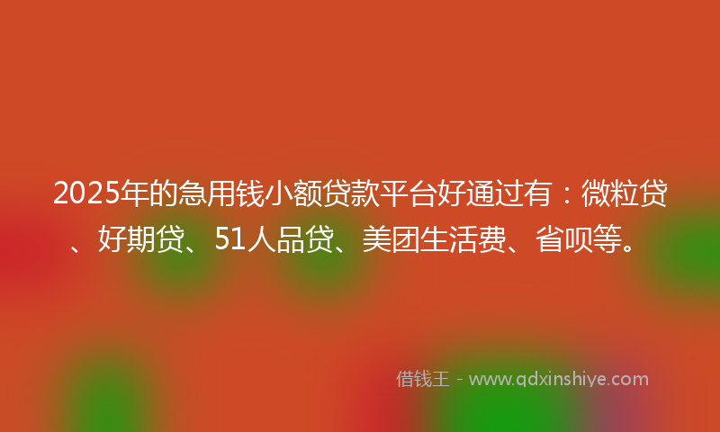 2025年的急用钱小额贷款平台好通过有：微粒贷、好期贷、51人品贷、美团生活费、省呗等。