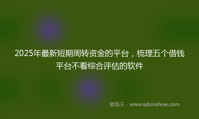 2025年最新短期周转资金的平台，梳理五个借钱平台不看综合评估的软件
