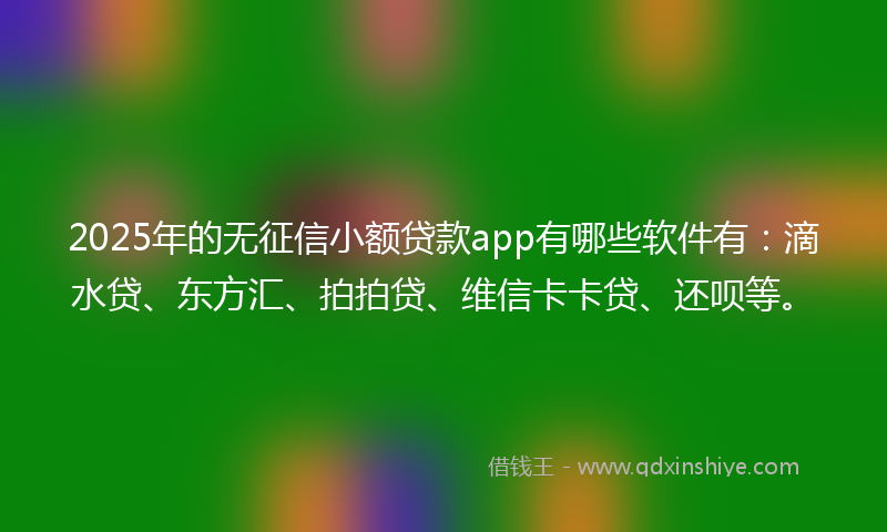 2025年的无征信小额贷款app有哪些软件有：滴水贷、东方汇、拍拍贷、维信卡卡贷、还呗等。