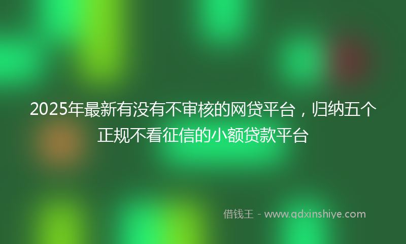 2025年最新有没有不审核的网贷平台，归纳五个正规不看征信的小额贷款平台