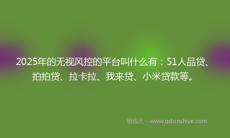 2025年的无视风控的平台叫什么有：51人品贷、拍拍贷、拉卡拉、我来贷、小米贷款等。