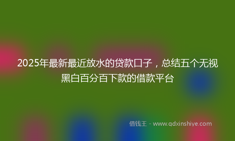 2025年最新最近放水的贷款口子，总结五个无视黑白百分百下款的借款平台