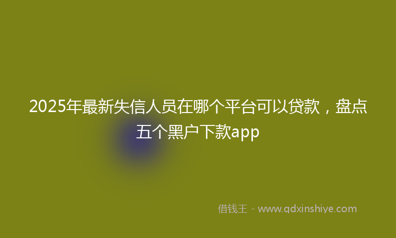 2025年最新失信人员在哪个平台可以贷款，盘点五个黑户下款app