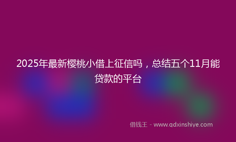 2025年最新樱桃小借上征信吗，总结五个11月能贷款的平台