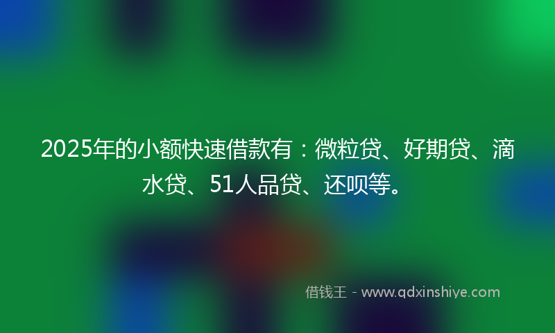 2025年的小额快速借款有：微粒贷、好期贷、滴水贷、51人品贷、还呗等。