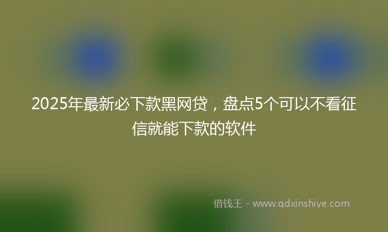 2025年最新必下款黑网贷，盘点5个可以不看征信就能下款的软件