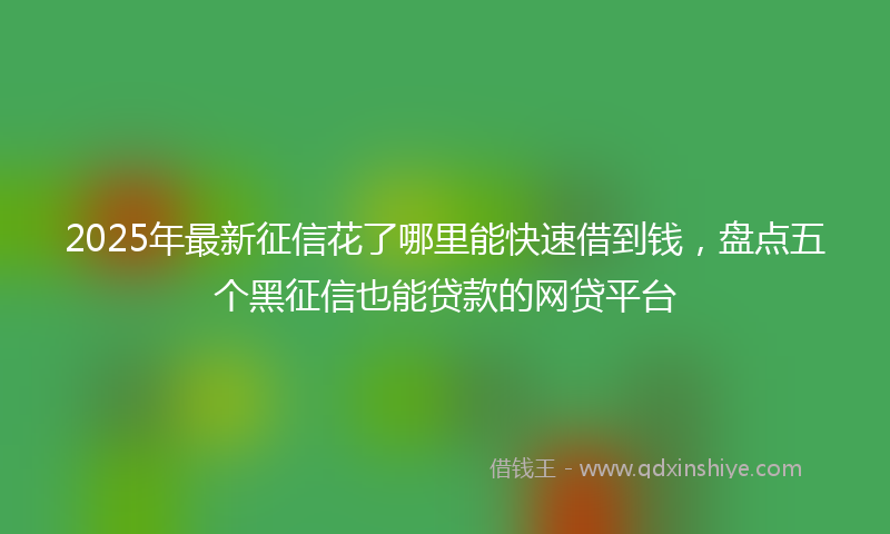 2025年最新征信花了哪里能快速借到钱，盘点五个黑征信也能贷款的网贷平台
