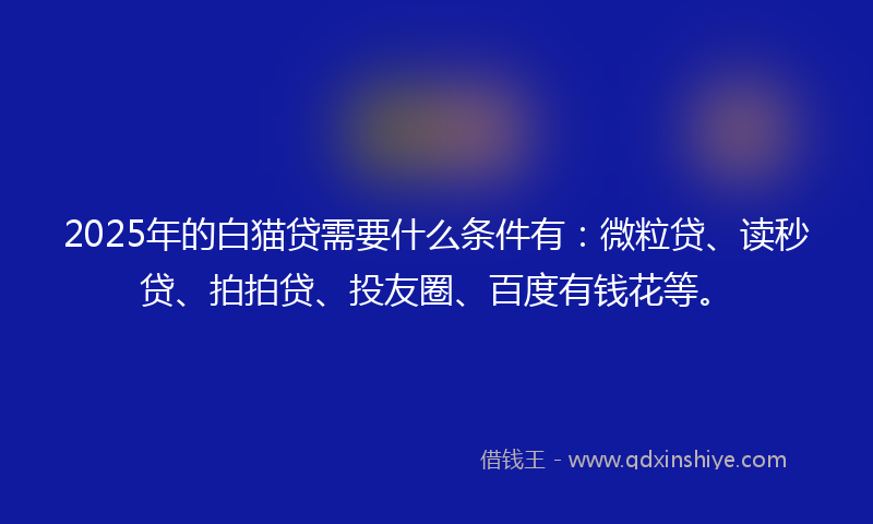 2025年的白猫贷需要什么条件有：微粒贷、读秒贷、拍拍贷、投友圈、百度有钱花等。