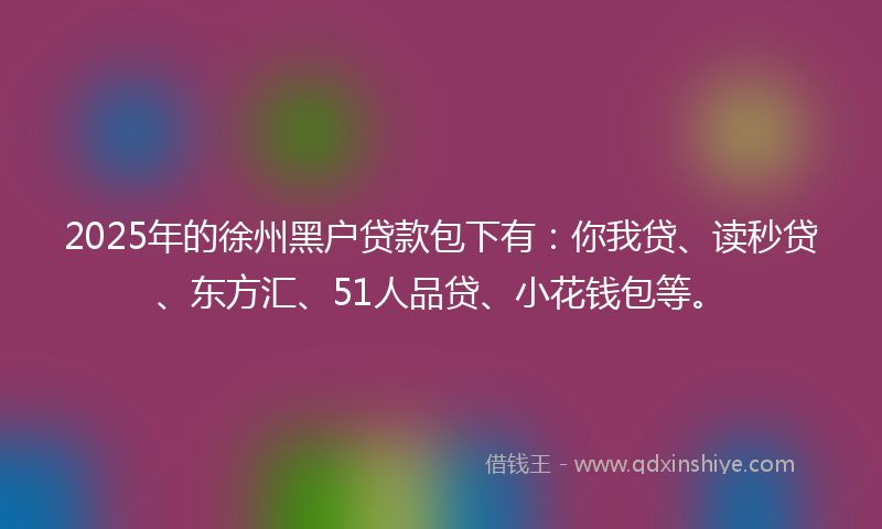 2025年的徐州黑户贷款包下有：你我贷、读秒贷、东方汇、51人品贷、小花钱包等。