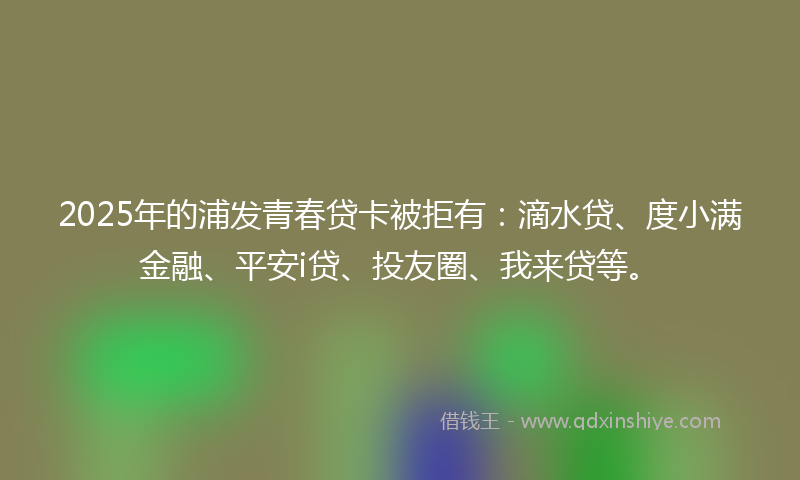 2025年的浦发青春贷卡被拒有：滴水贷、度小满金融、平安i贷、投友圈、我来贷等。