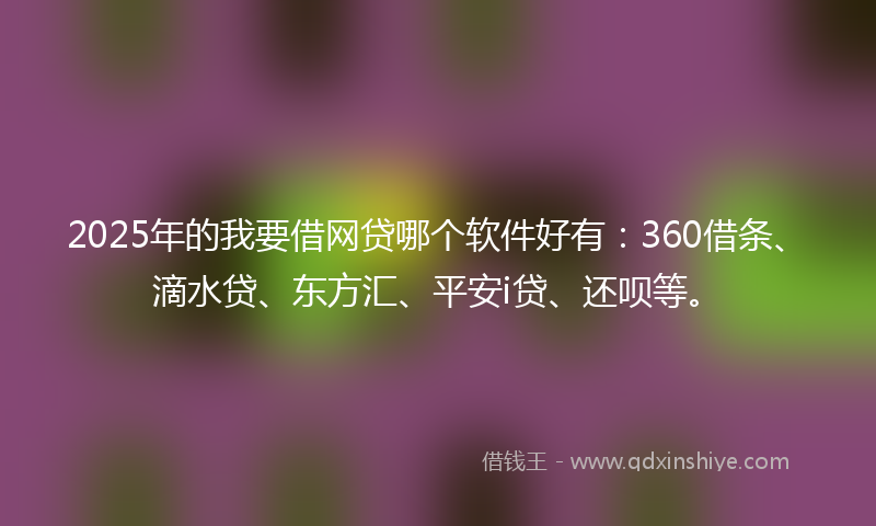 2025年的我要借网贷哪个软件好有：360借条、滴水贷、东方汇、平安i贷、还呗等。