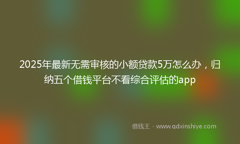 2025年最新无需审核的小额贷款5万怎么办，归纳五个借钱平台不看综合评估的app