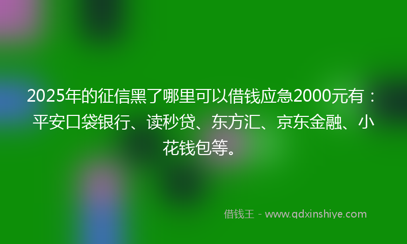 2025年的征信黑了哪里可以借钱应急2000元有：平安口袋银行、读秒贷、东方汇、京东金融、小花钱包等。