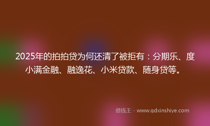 2025年的拍拍贷为何还清了被拒有：分期乐、度小满金融、融逸花、小米贷款、随身贷等。