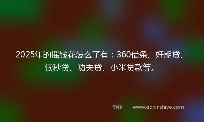 2025年的摇钱花怎么了有：360借条、好期贷、读秒贷、功夫贷、小米贷款等。