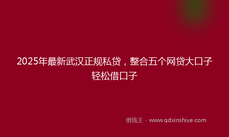 2025年最新武汉正规私贷，整合五个网贷大口子轻松借口子