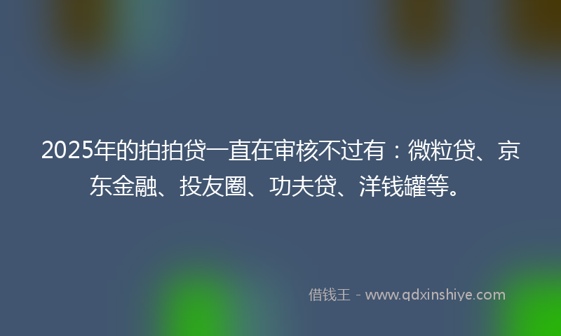 2025年的拍拍贷一直在审核不过有：微粒贷、京东金融、投友圈、功夫贷、洋钱罐等。