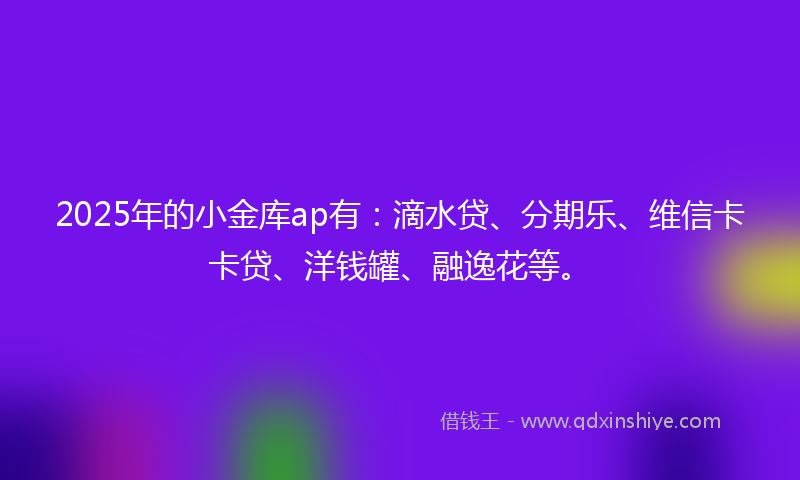 2025年的小金库ap有：滴水贷、分期乐、维信卡卡贷、洋钱罐、融逸花等。
