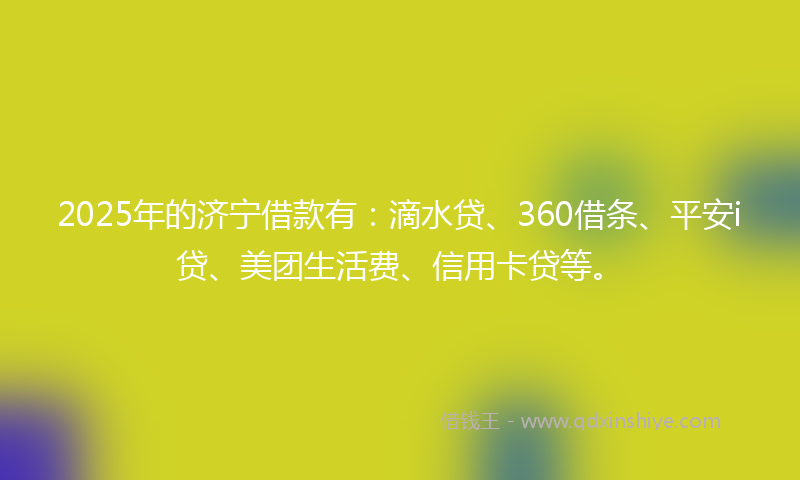 2025年的济宁借款有：滴水贷、360借条、平安i贷、美团生活费、信用卡贷等。