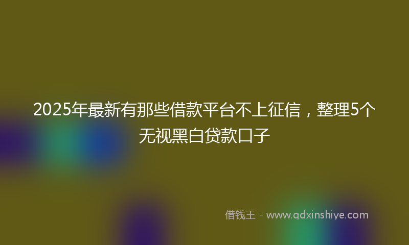 2025年最新有那些借款平台不上征信，整理5个无视黑白贷款口子