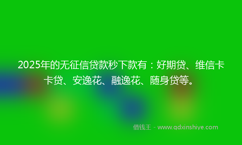 2025年的无征信贷款秒下款有：好期贷、维信卡卡贷、安逸花、融逸花、随身贷等。