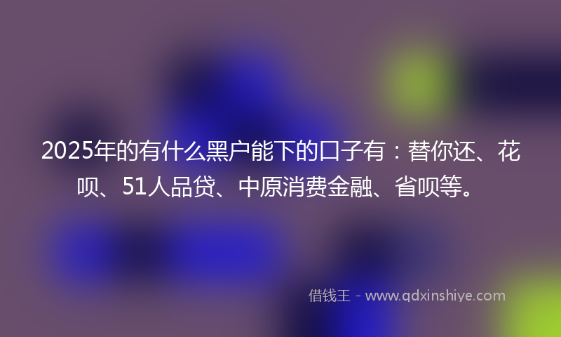 2025年的有什么黑户能下的口子有：替你还、花呗、51人品贷、中原消费金融、省呗等。