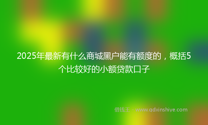 2025年最新有什么商城黑户能有额度的，概括5个比较好的小额贷款口子