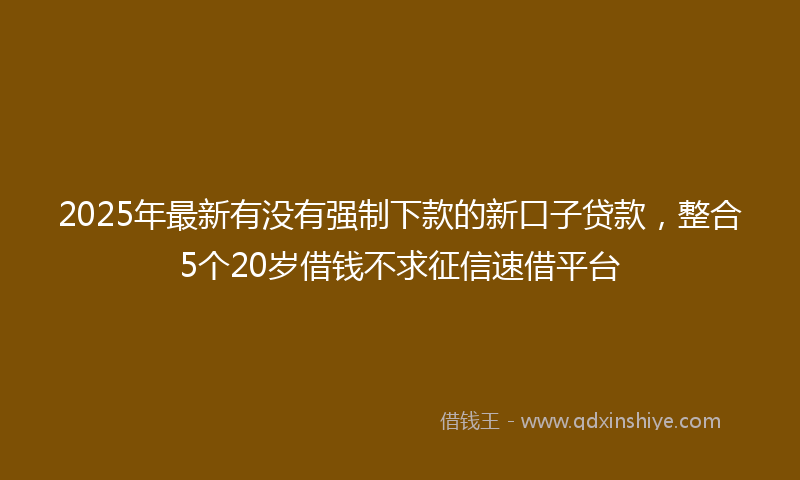 2025年最新有没有强制下款的新口子贷款，整合5个20岁借钱不求征信速借平台