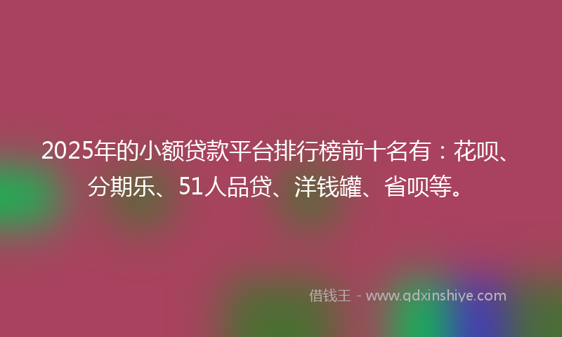 2025年的小额贷款平台排行榜前十名有：花呗、分期乐、51人品贷、洋钱罐、省呗等。