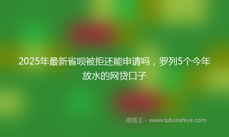 2025年最新省呗被拒还能申请吗，罗列5个今年放水的网贷口子