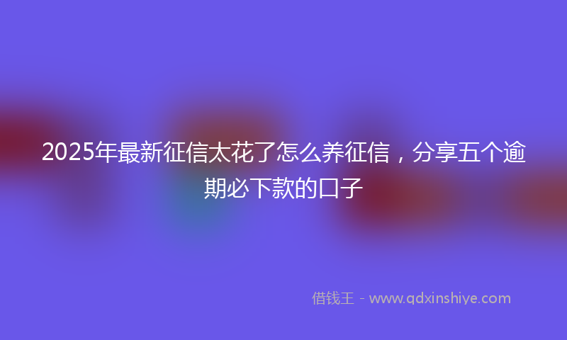 2025年最新征信太花了怎么养征信，分享五个逾期必下款的口子
