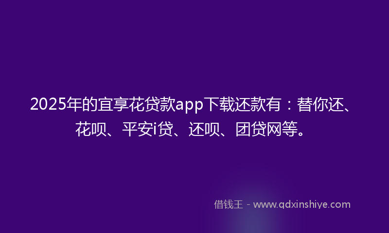 2025年的宜享花贷款app下载还款有：替你还、花呗、平安i贷、还呗、团贷网等。